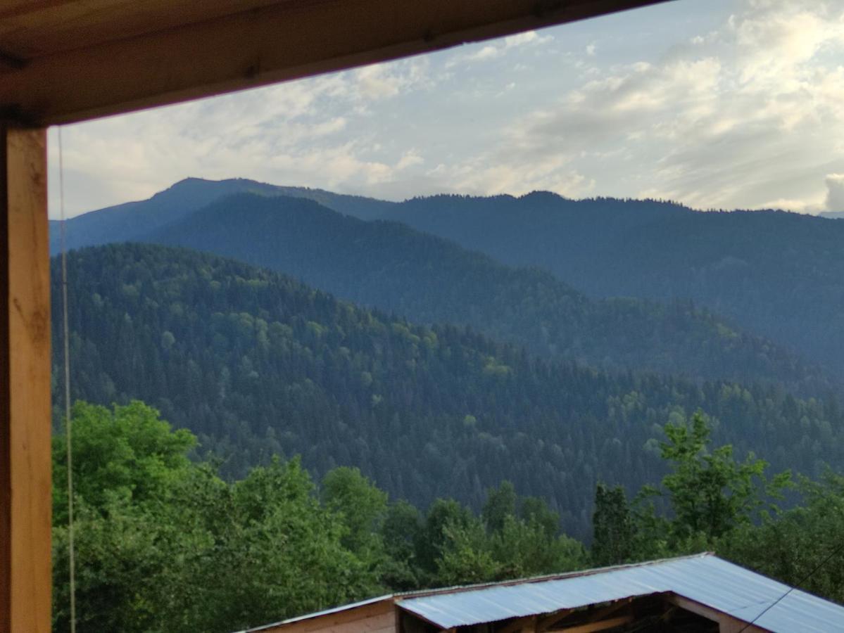 Ecohouse Svaneti Mestia Exterior foto