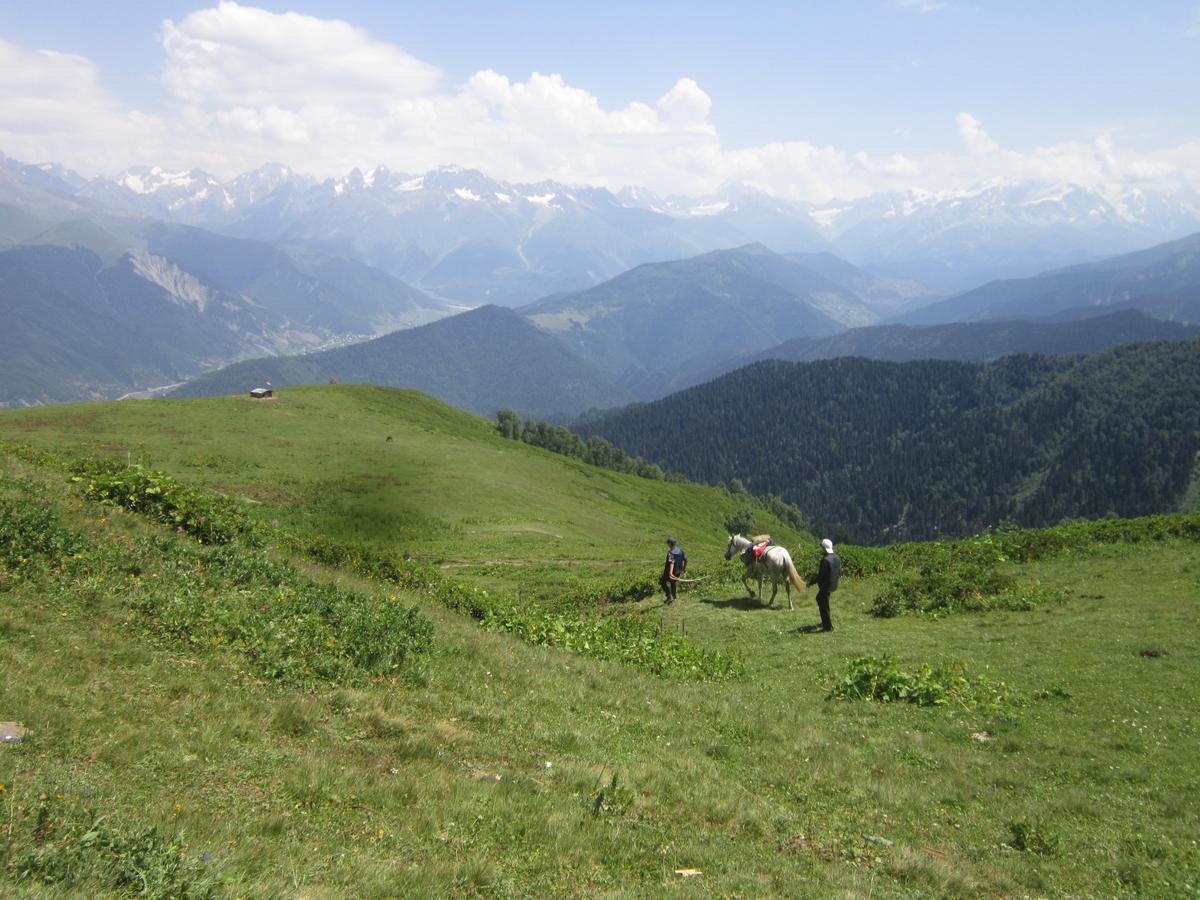 Ecohouse Svaneti Mestia Exterior foto