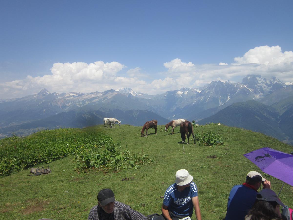 Ecohouse Svaneti Mestia Exterior foto