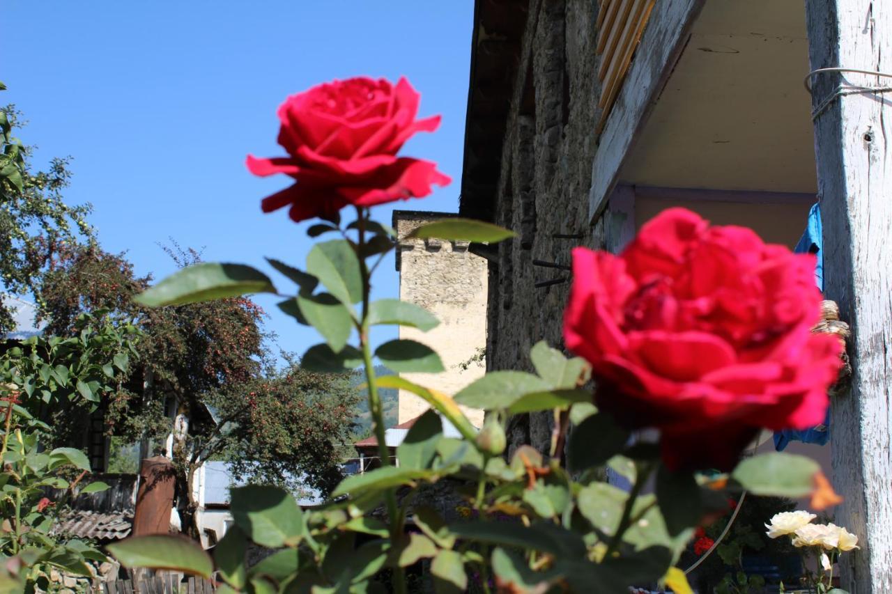 Ecohouse Svaneti Mestia Exterior foto