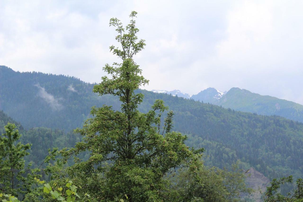 Ecohouse Svaneti Mestia Exterior foto
