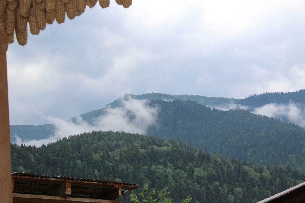 Ecohouse Svaneti Mestia Exterior foto